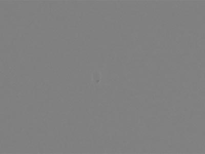 Crop #2, with Dust Off